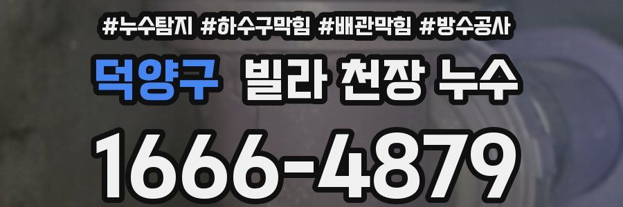 덕양구 빌라 천장 누수