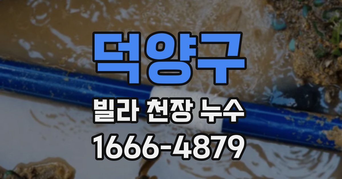 덕양구 빌라 천장 누수