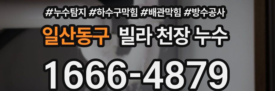일산동구 빌라 천장 누수