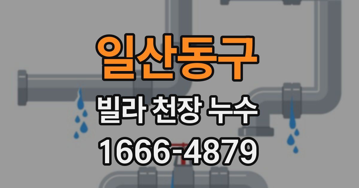 일산동구 빌라 천장 누수