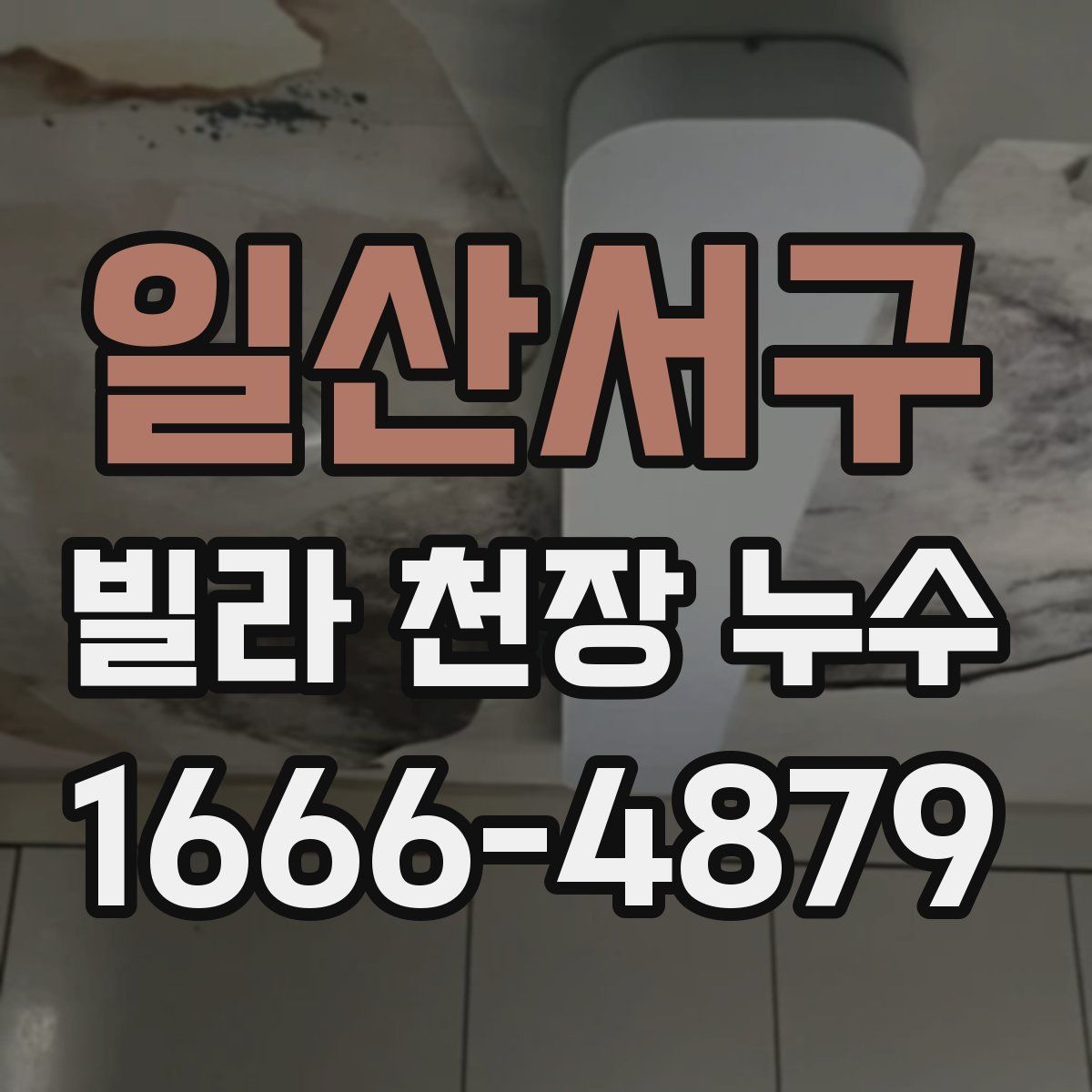 일산서구 빌라 천장 누수