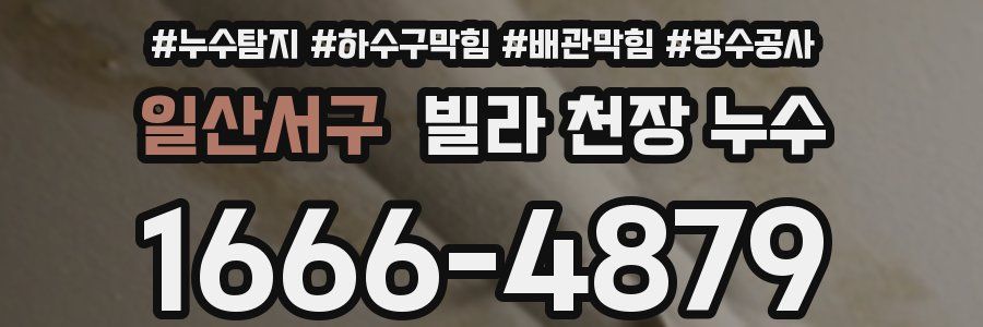일산서구 빌라 천장 누수
