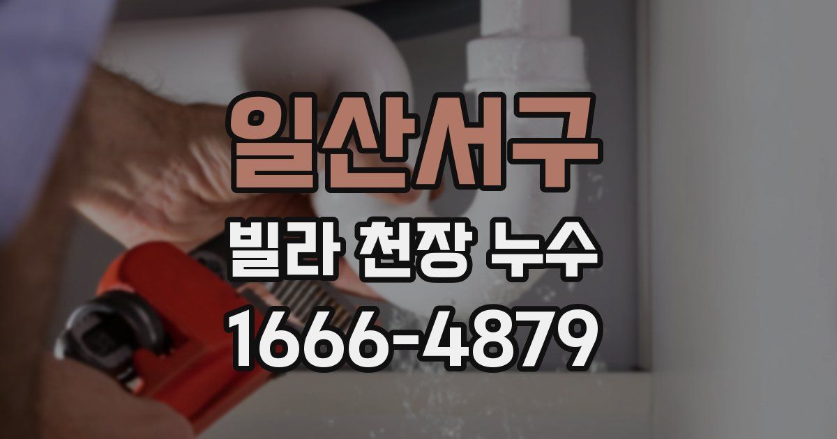 일산서구 빌라 천장 누수