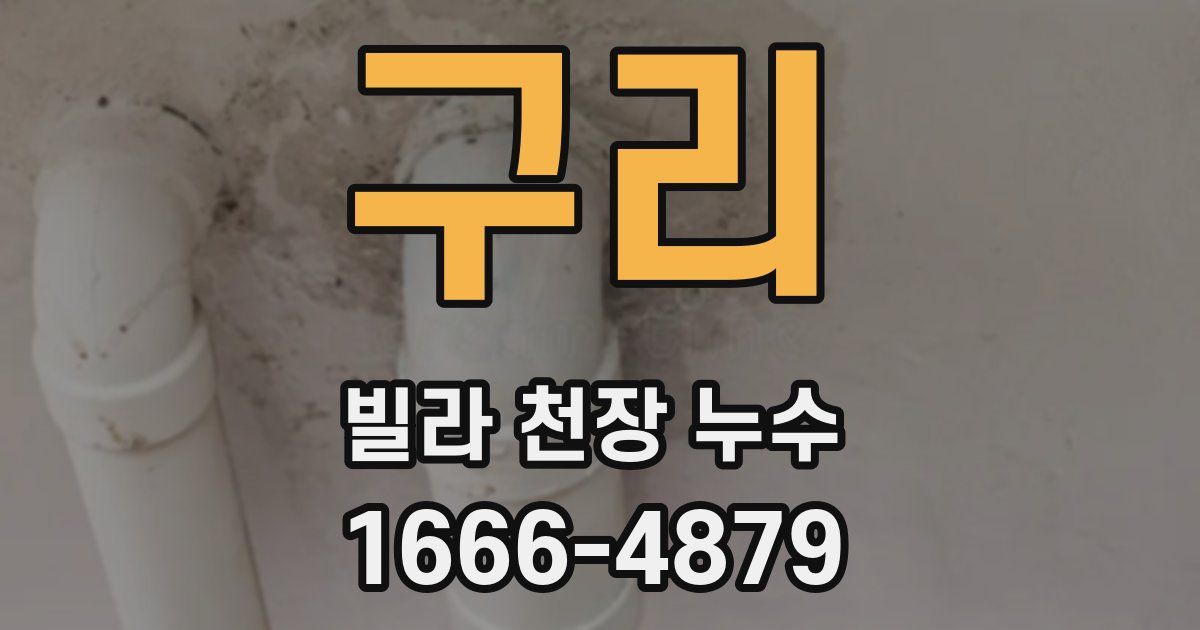 구리 빌라 천장 누수