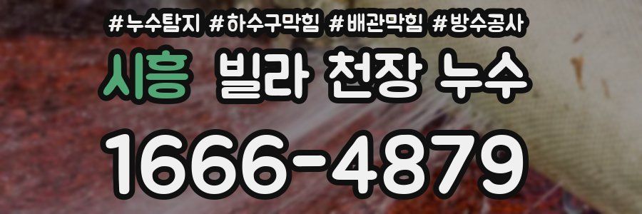 시흥 빌라 천장 누수