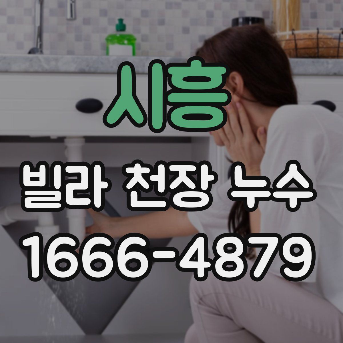 시흥 빌라 천장 누수