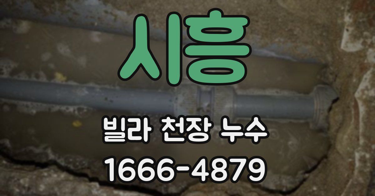 시흥 빌라 천장 누수