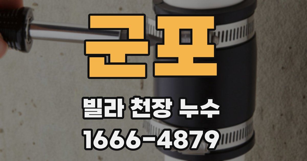 군포 빌라 천장 누수