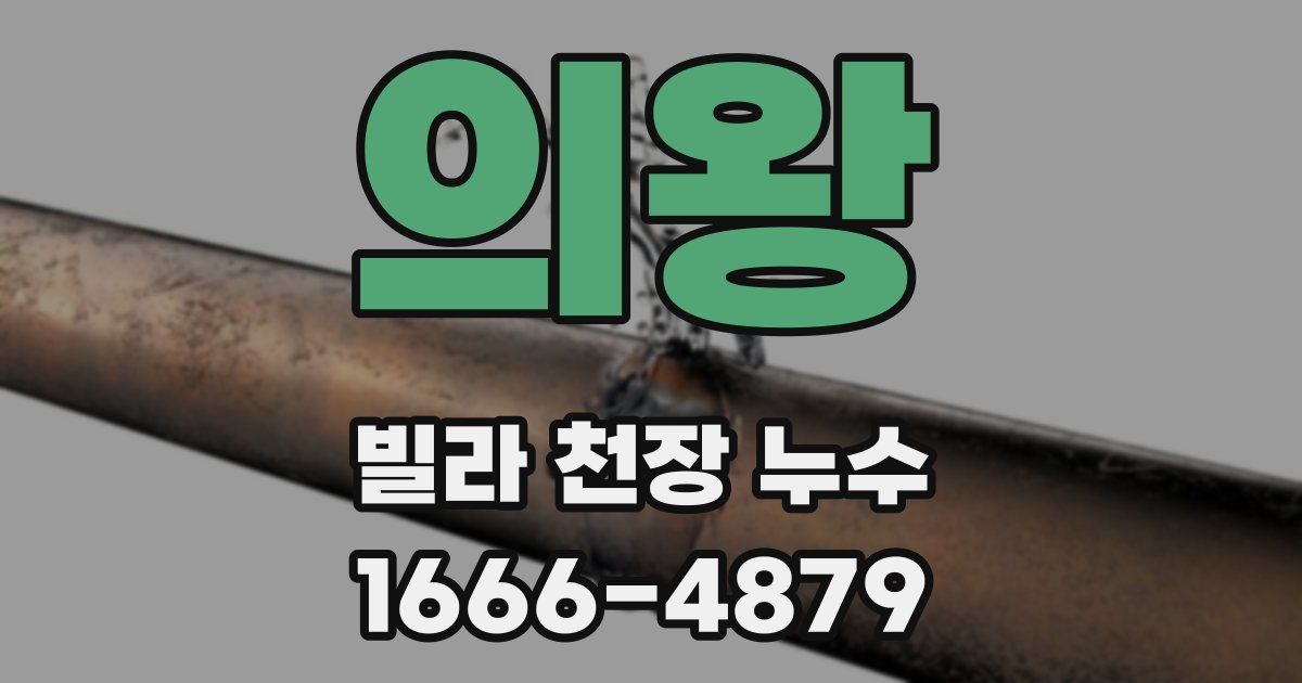 의왕 빌라 천장 누수
