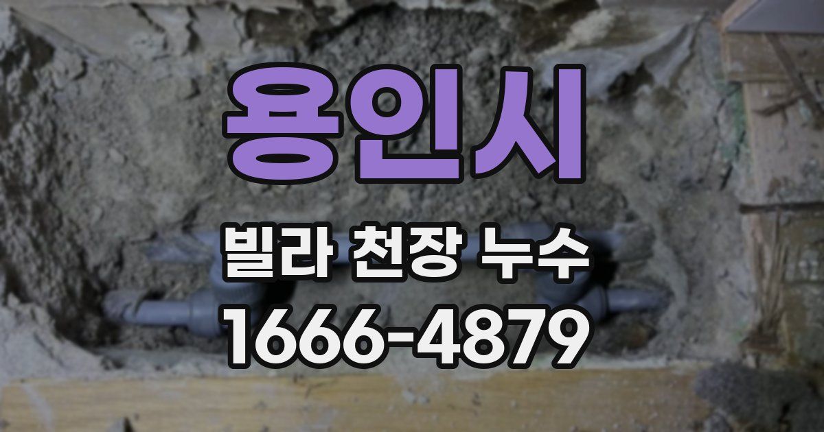 용인시 빌라 천장 누수
