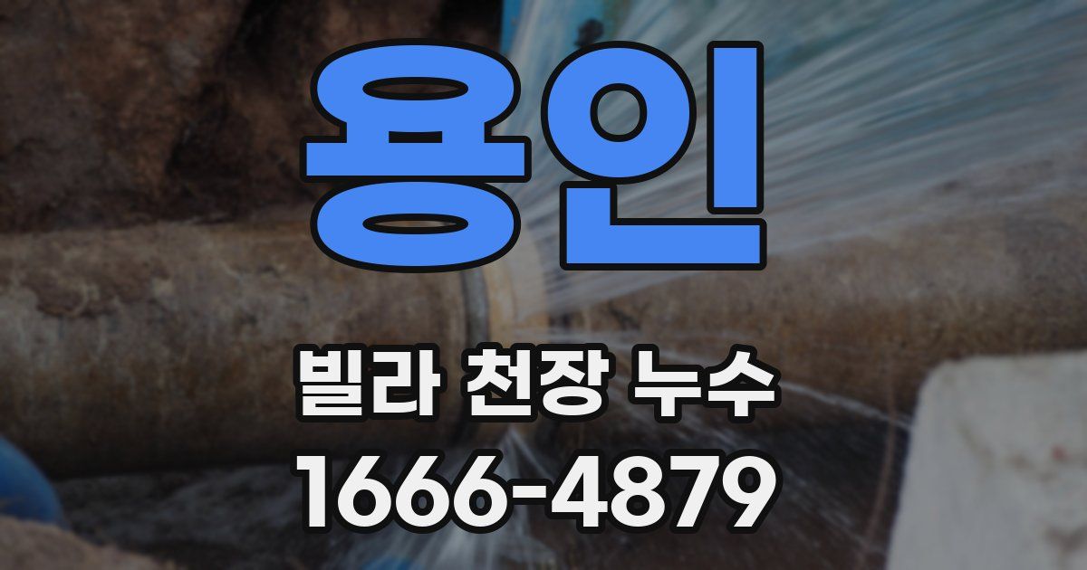 용인 빌라 천장 누수
