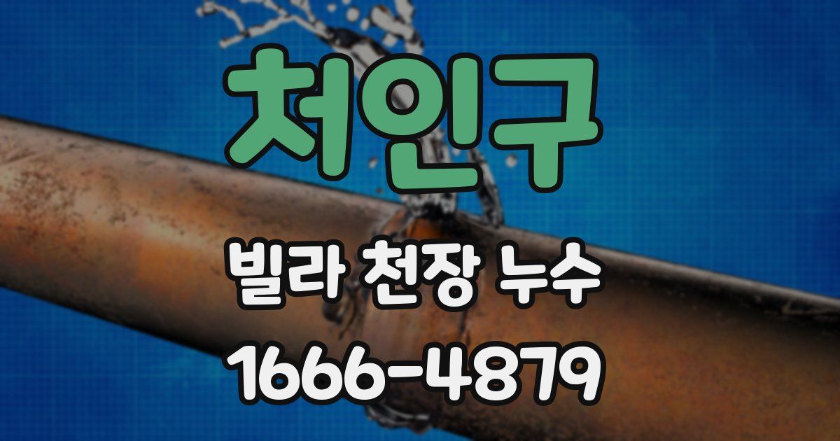 처인구 빌라 천장 누수