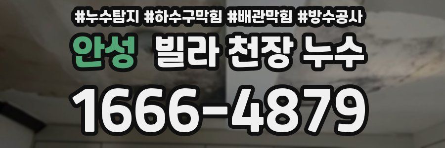 안성 빌라 천장 누수