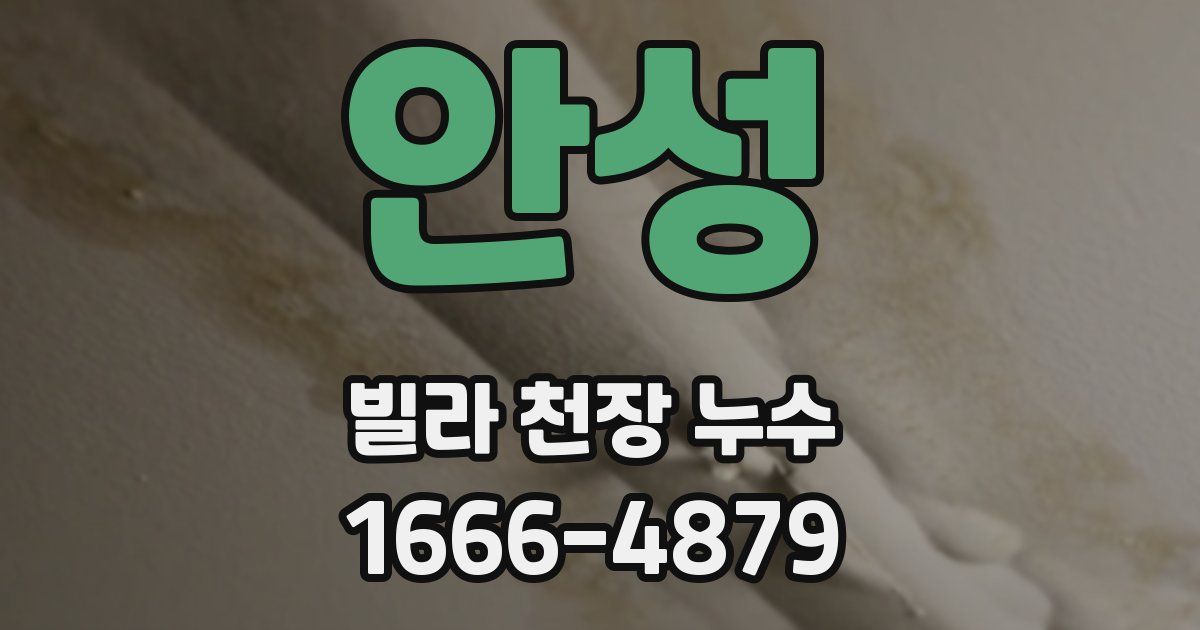 안성 빌라 천장 누수