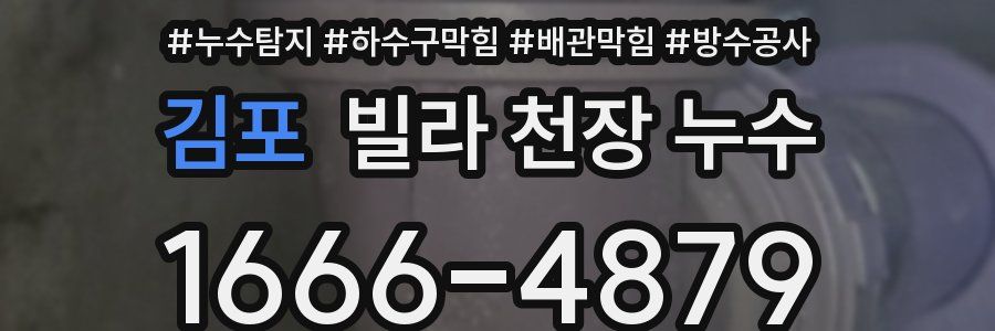 김포 빌라 천장 누수