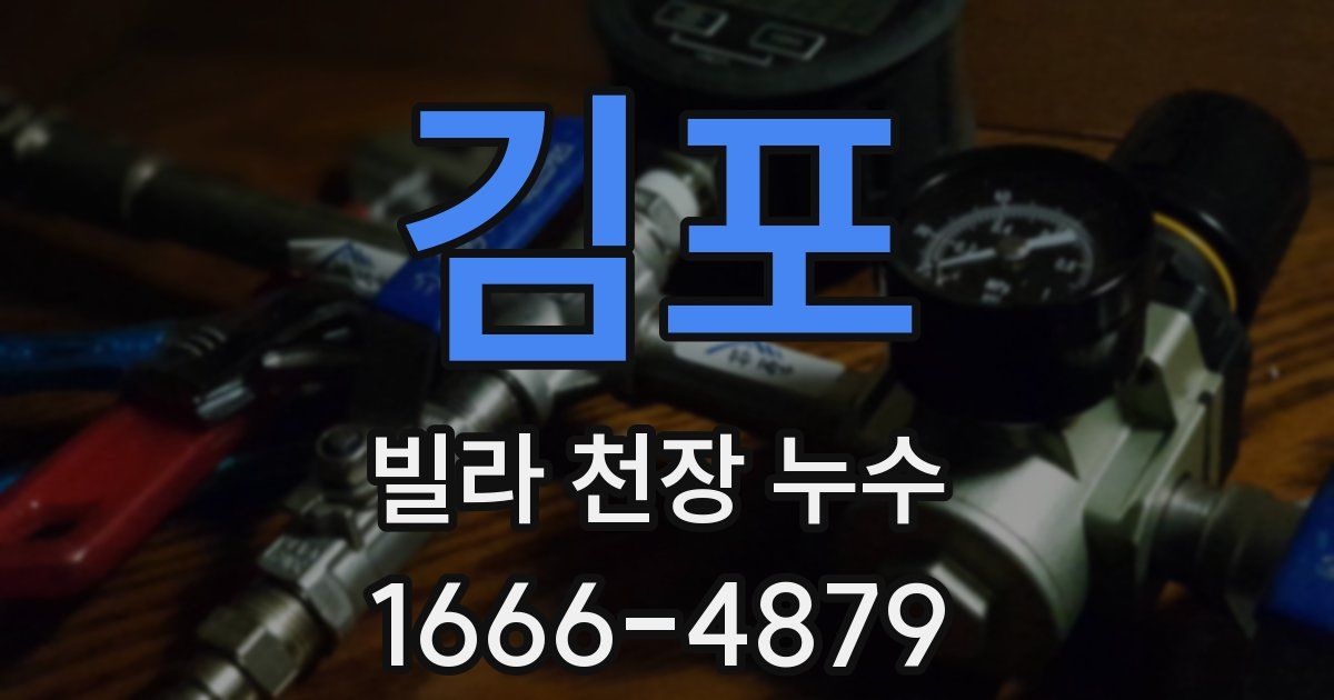 김포 빌라 천장 누수
