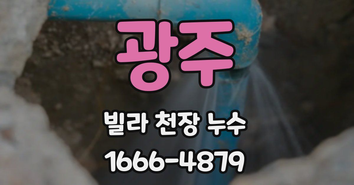 광주 빌라 천장 누수