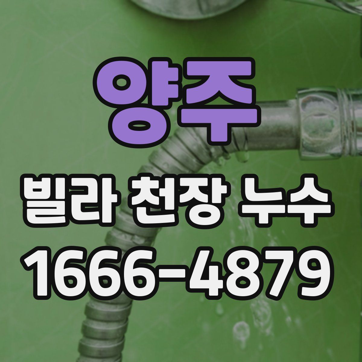 양주 빌라 천장 누수