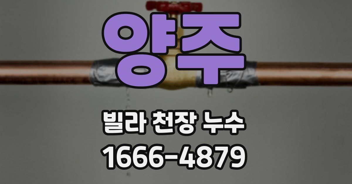 양주 빌라 천장 누수