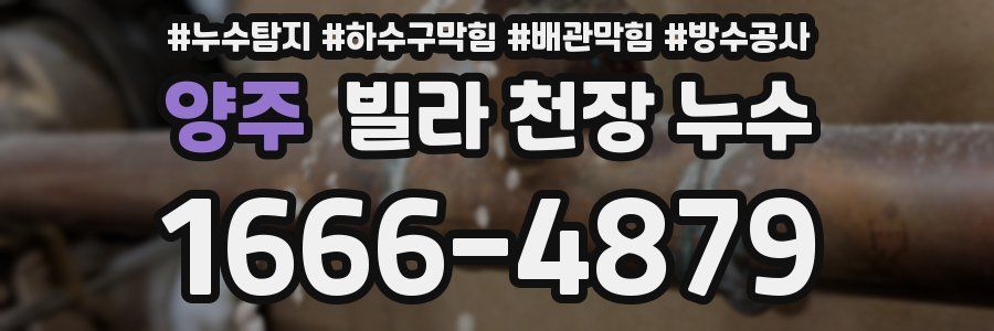 양주 빌라 천장 누수
