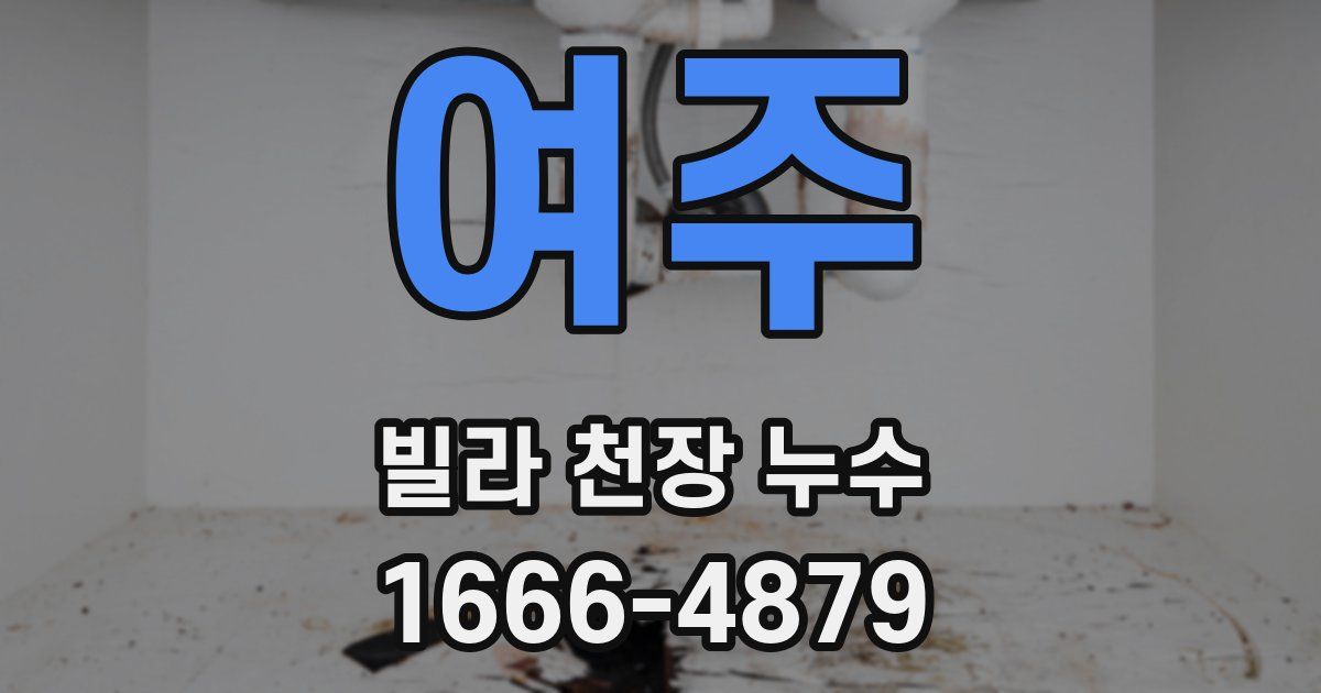여주 빌라 천장 누수