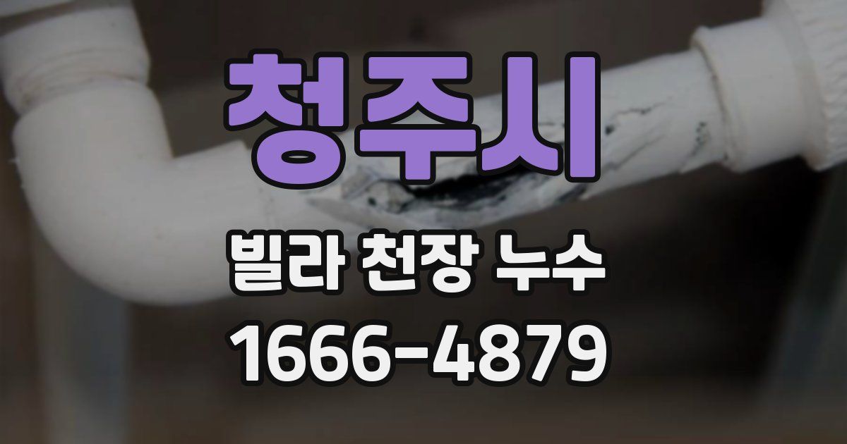 청주시 빌라 천장 누수