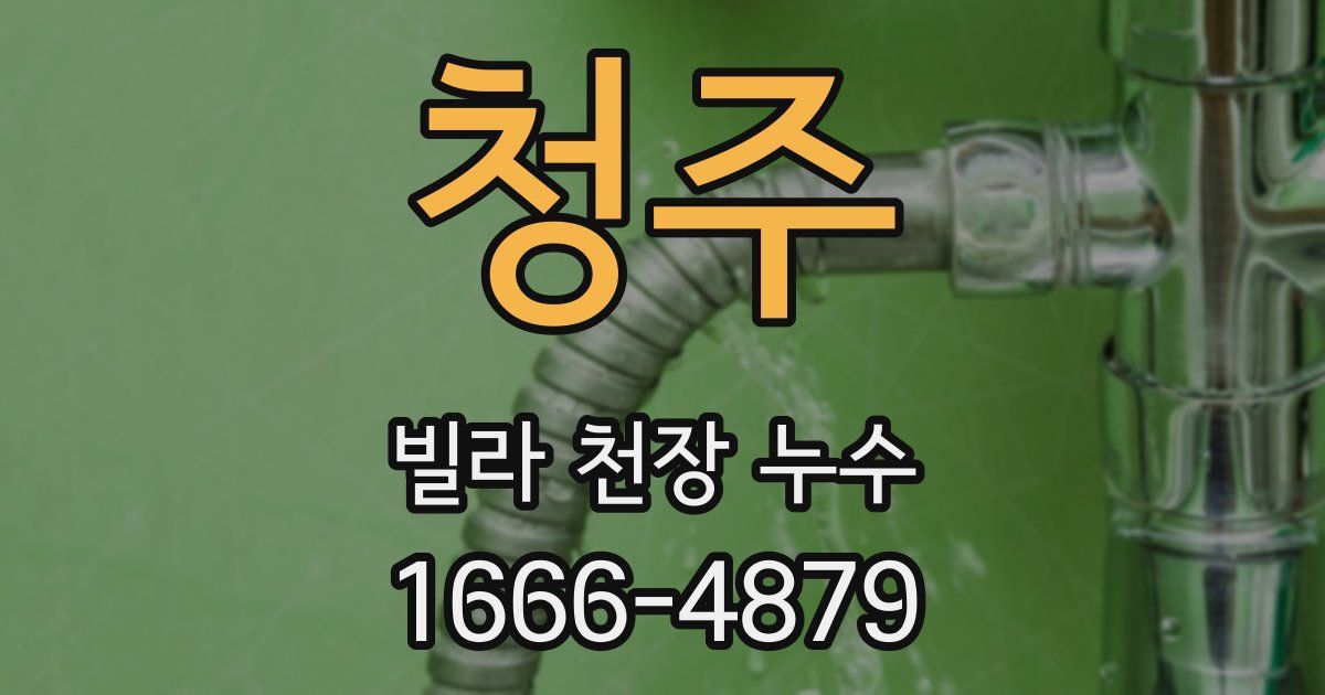 청주 빌라 천장 누수