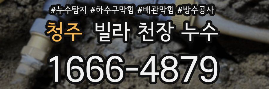 청주 빌라 천장 누수
