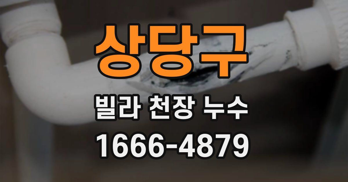 상당구 빌라 천장 누수