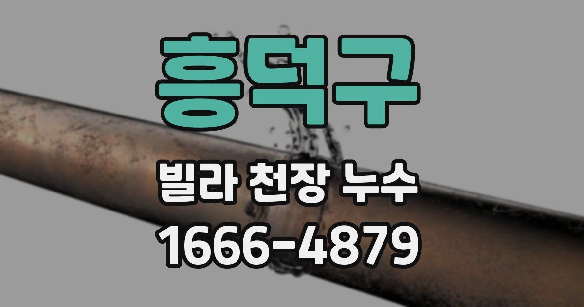 흥덕구 빌라 천장 누수