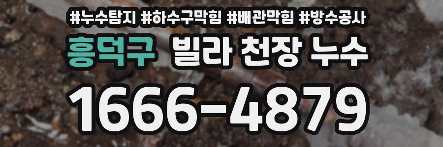 흥덕구 빌라 천장 누수