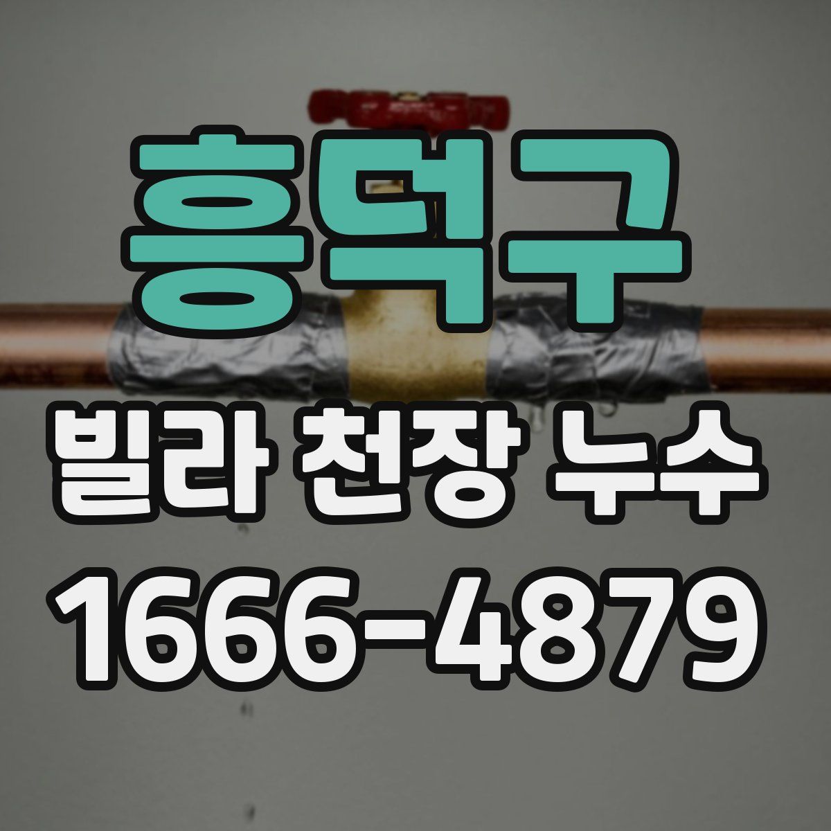 흥덕구 빌라 천장 누수
