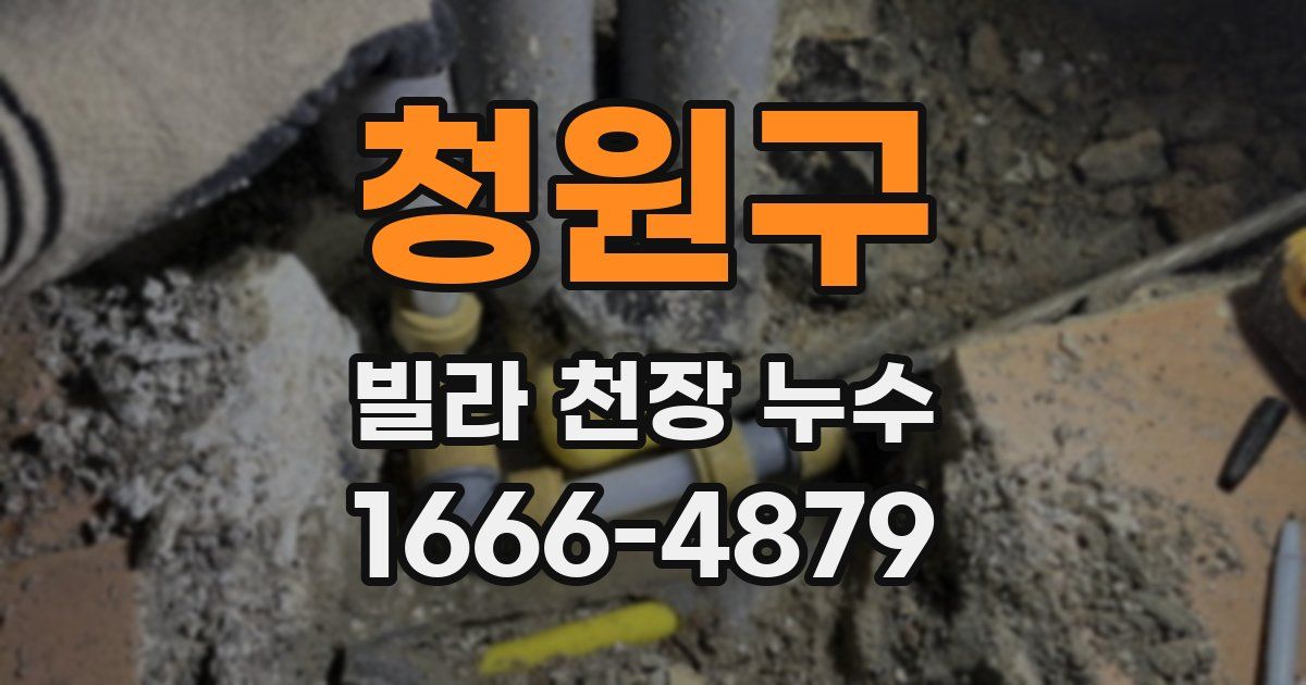 청원구 빌라 천장 누수