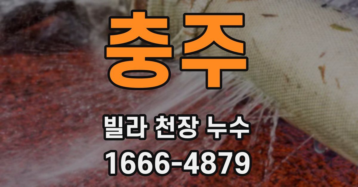 충주 빌라 천장 누수