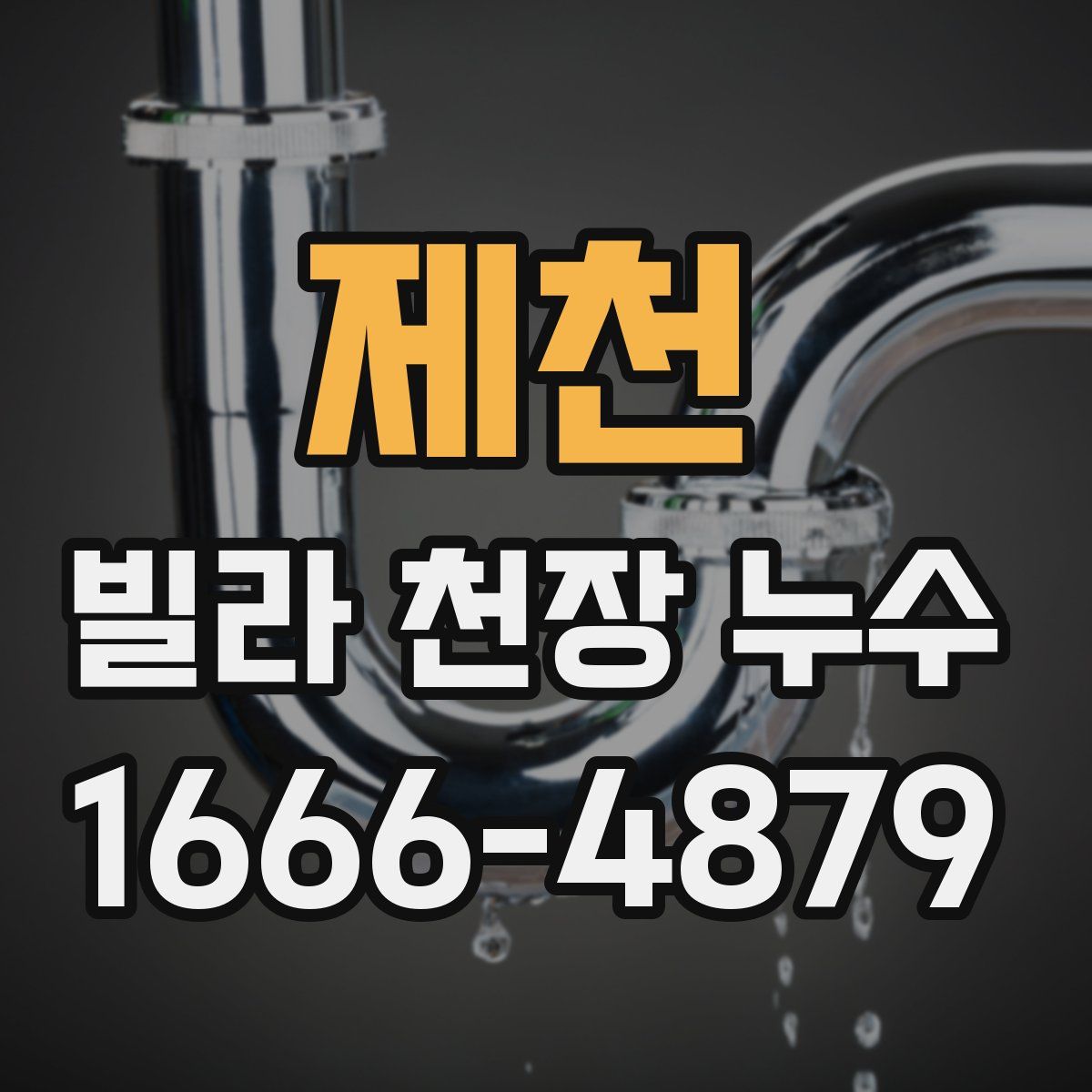 제천 빌라 천장 누수