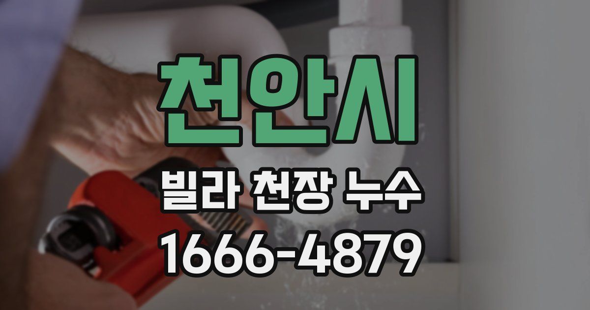 천안시 빌라 천장 누수