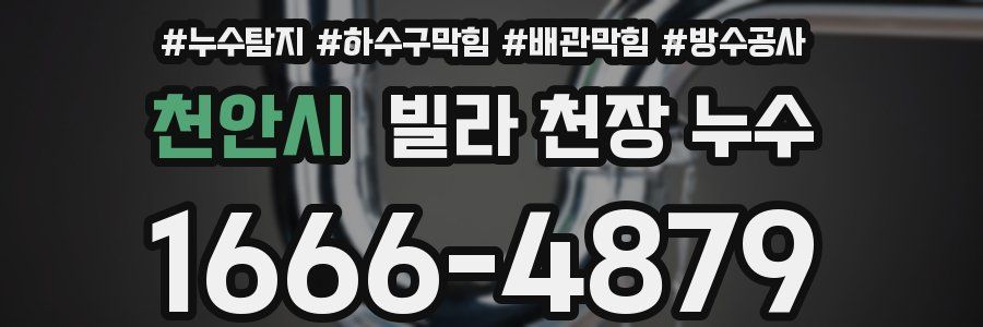 천안시 빌라 천장 누수