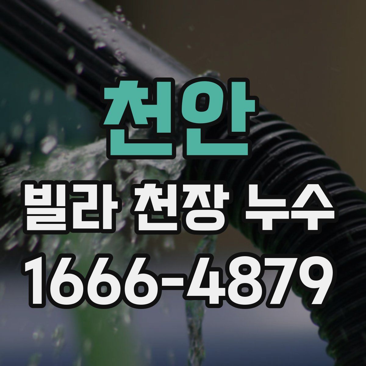 천안 빌라 천장 누수