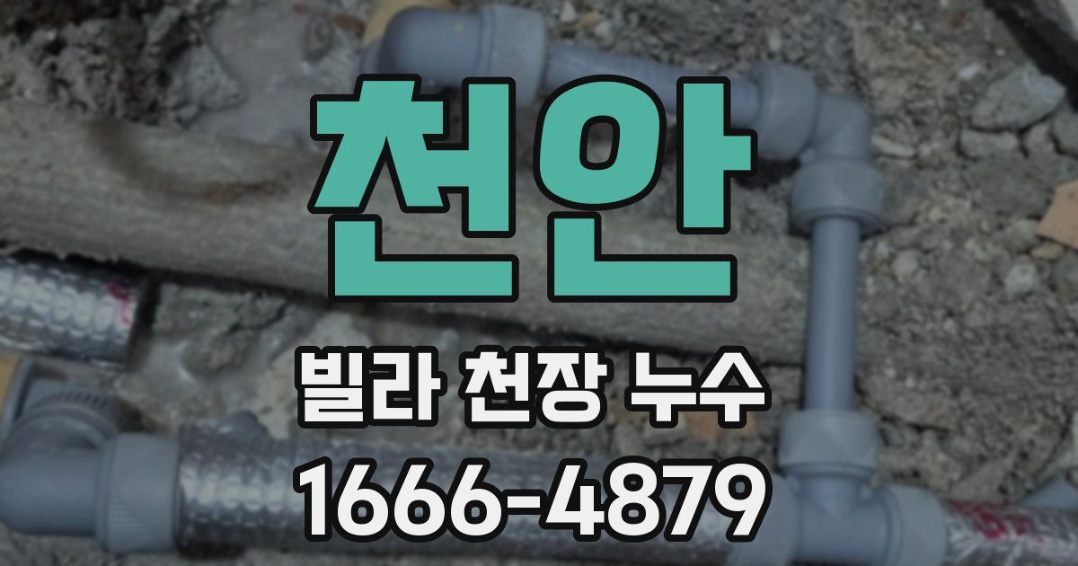 천안 빌라 천장 누수