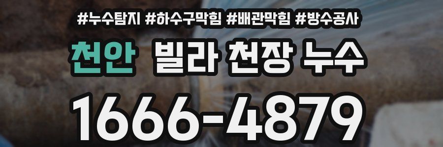 천안 빌라 천장 누수