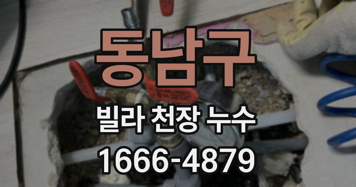 동남구 빌라 천장 누수
