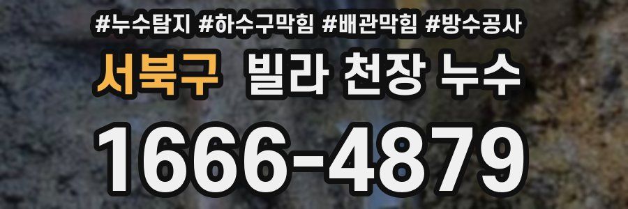 서북구 빌라 천장 누수