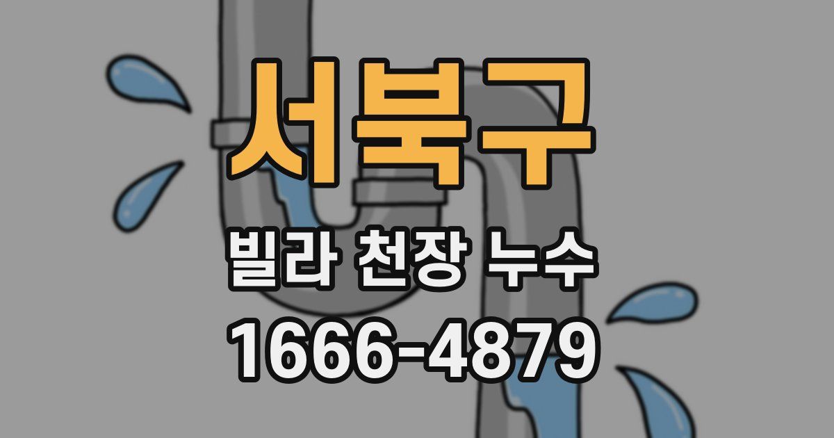 서북구 빌라 천장 누수