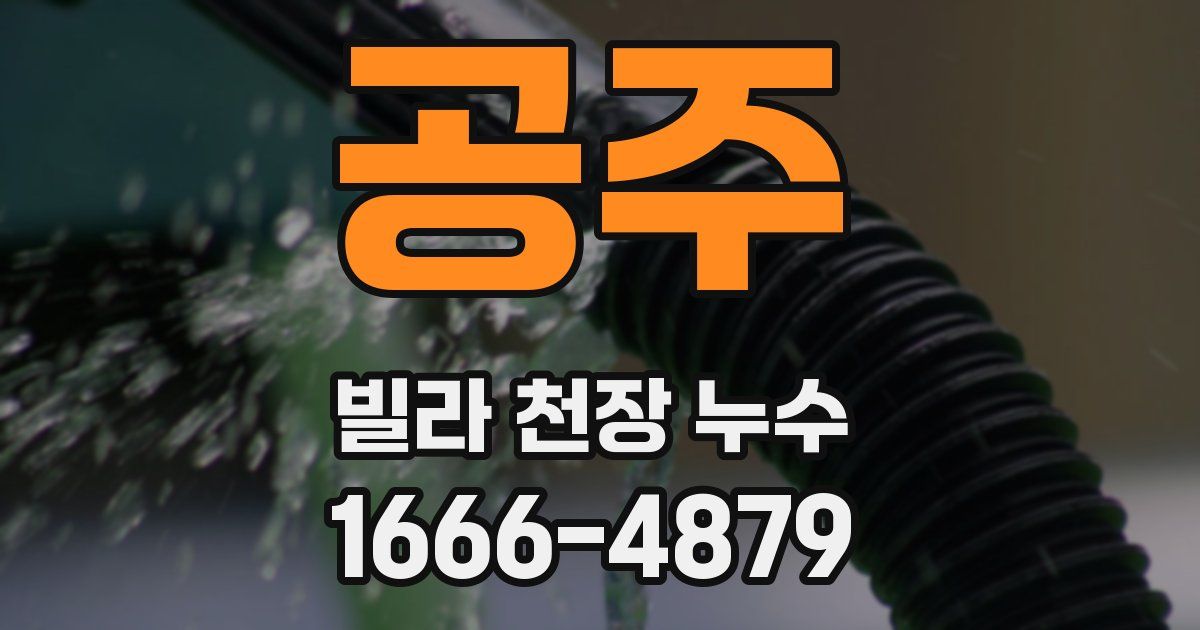 공주 빌라 천장 누수