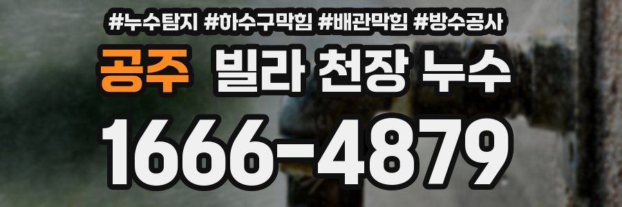 공주 빌라 천장 누수