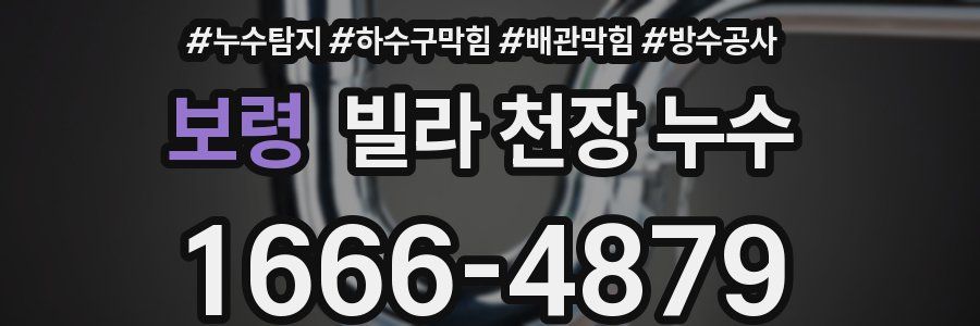 보령 빌라 천장 누수