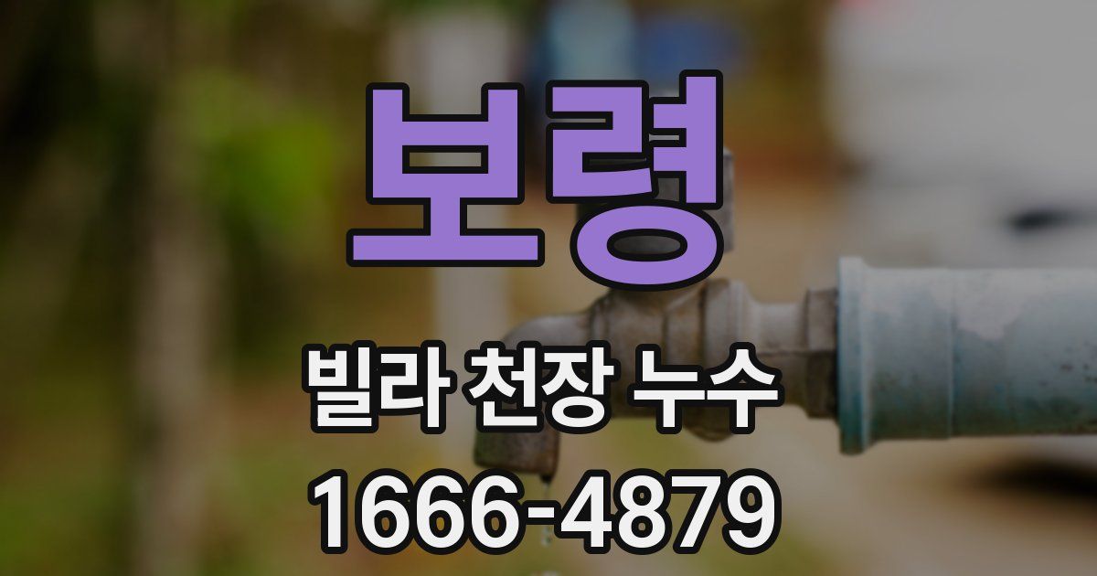 보령 빌라 천장 누수