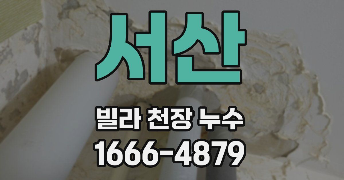서산 빌라 천장 누수
