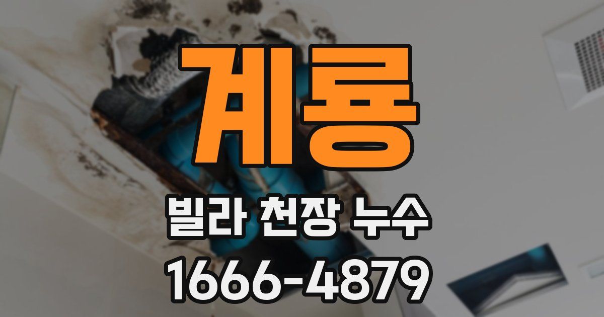 계룡 빌라 천장 누수