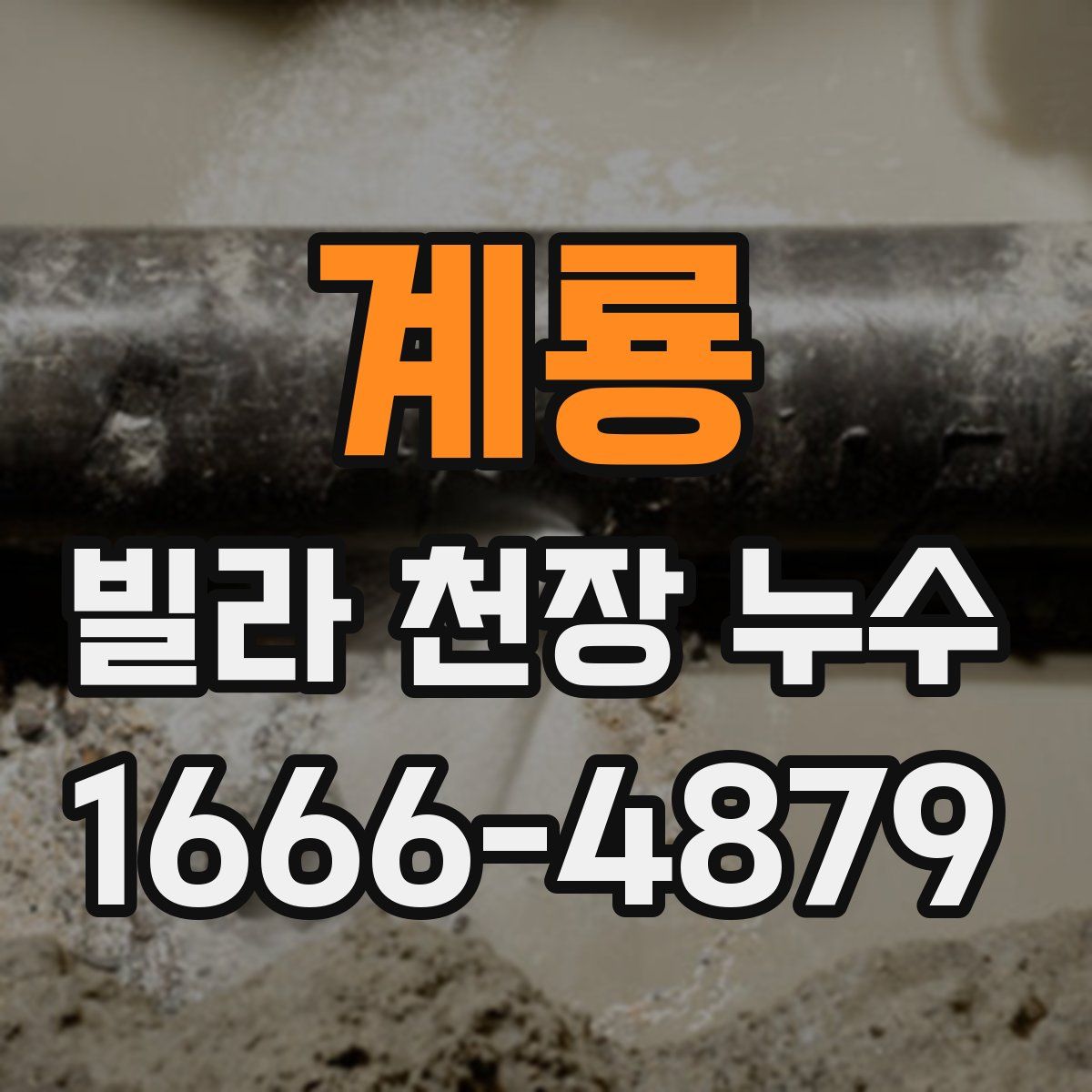 계룡 빌라 천장 누수